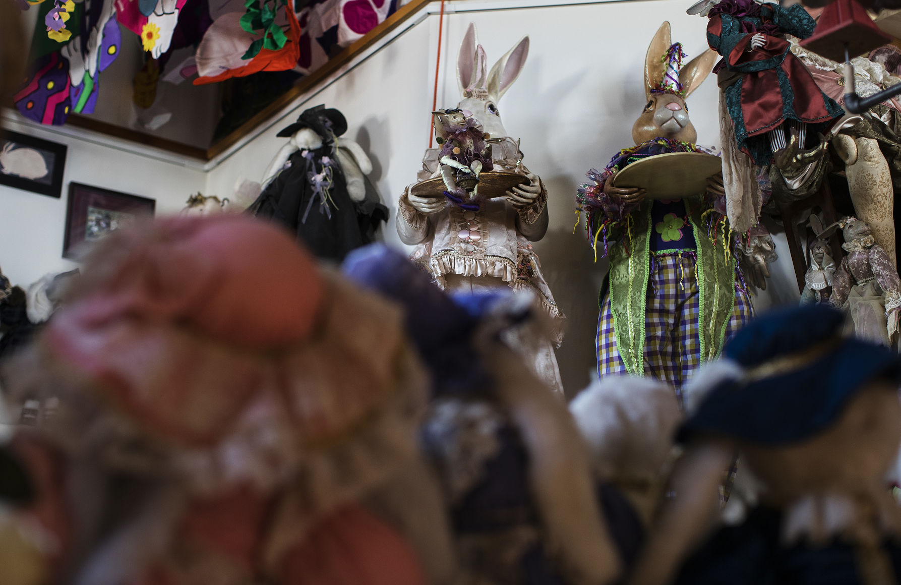Bunny Museum